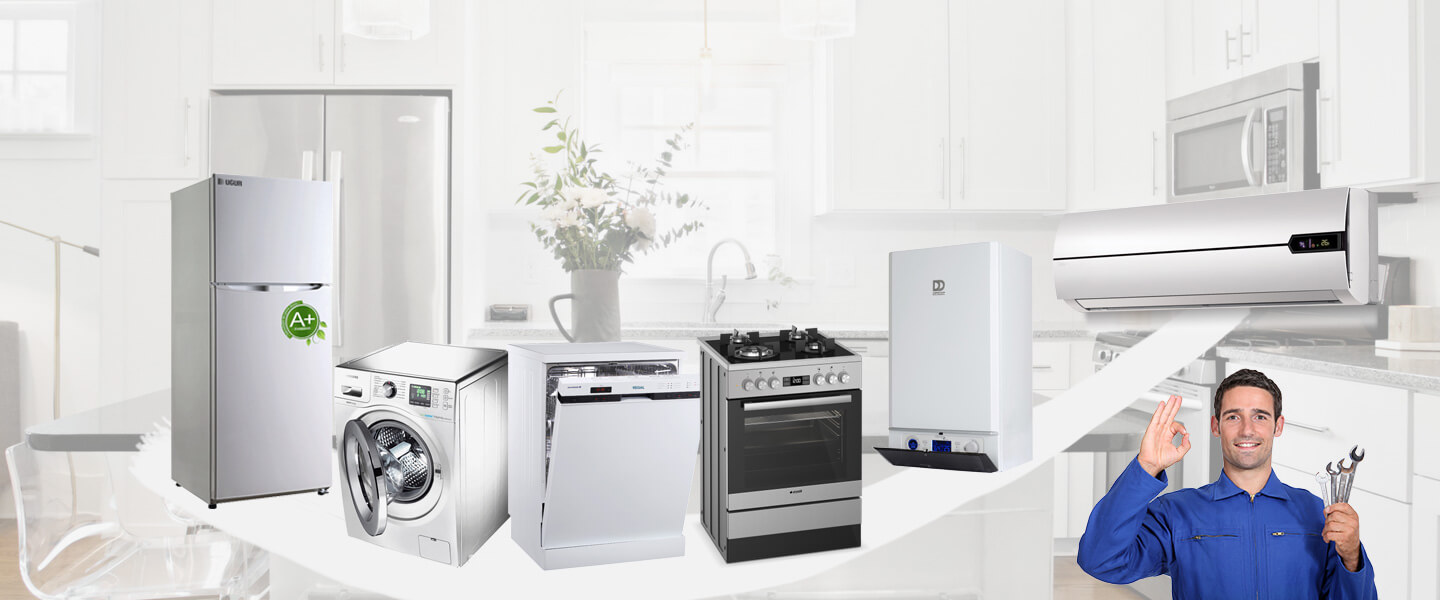 Finike Electrolux Servisi